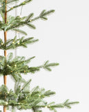 Sapins Alpin
