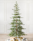 Sapins Alpin