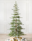Sapins Alpin