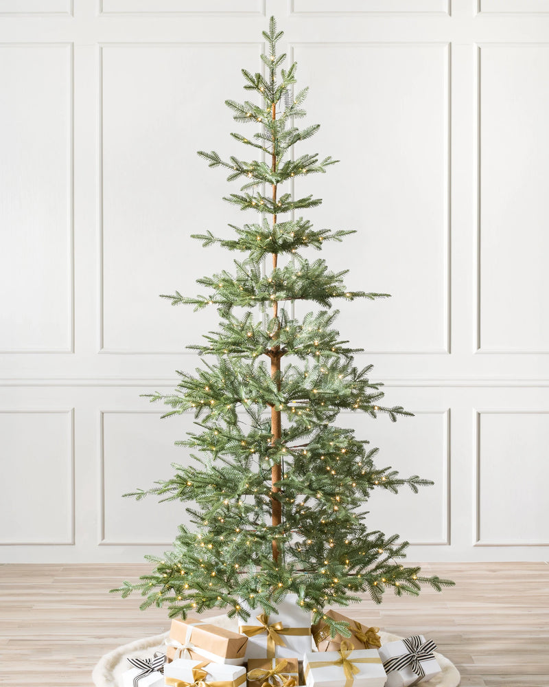 Sapins Alpin