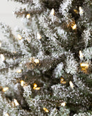 Árvore de Natal Pinheiro Azul do Canadá