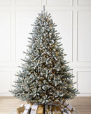 Árvore de Natal Pinheiro Azul do Canadá