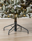 Árvore de Natal Pinheiro Azul do Canadá