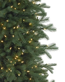 Sapins Cathédrale