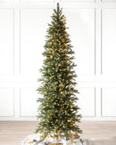 Sapins Cathédrale