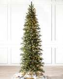 Sapins Cathédrale