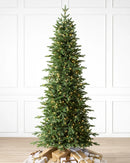 Árvore de Natal Pinheiro de Lucerna