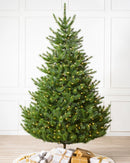Sapins artificiais Nordmann