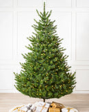 Sapins artificiais Nordmann