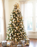 Cimiers de sapin: Anjos