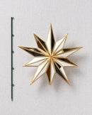 Cimiers de sapin de Natal