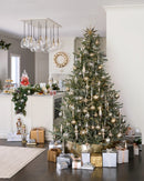 Cimiers de sapin de Natal