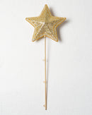 Estrela de Natal Clássica