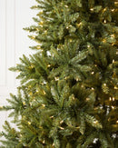 Pinheiro Vancouver para seu Natal