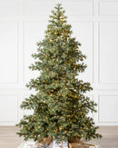 Sapin de Noël Épicéa du Yukon
