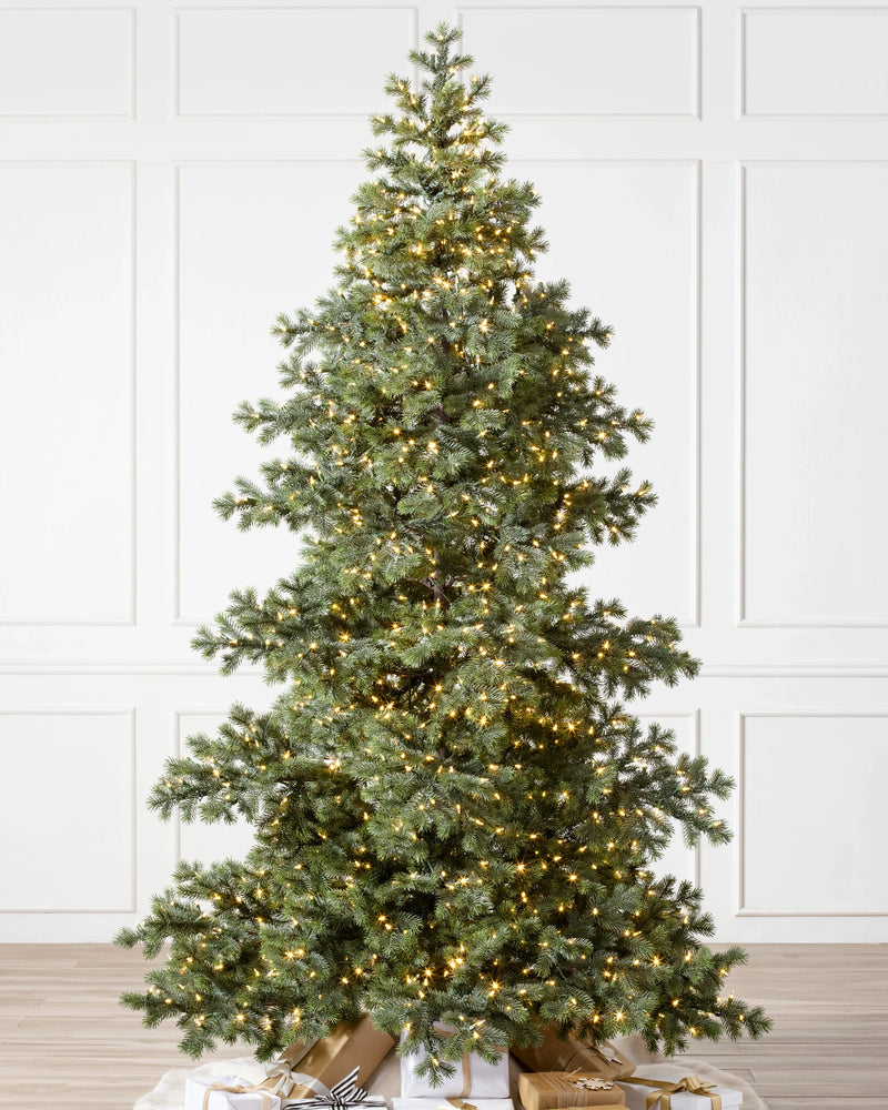 Sapin de Noël Épicéa du Yukon